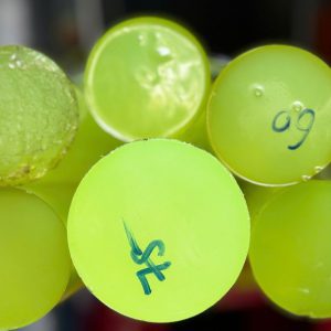 Nhựa PU cây phi 10 - D10 (1000x10mm)