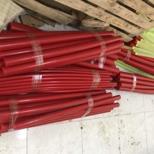 Nhựa PU cây phi 245 - D245 (1000x245mm)